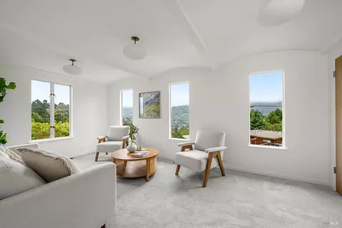 Living - 135 Peralta Ave, Mill Valley, CA 94941 photo 5 of 6