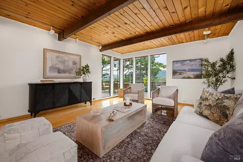 Living - 135 Peralta Ave, Mill Valley, CA 94941 photo 4 of 6