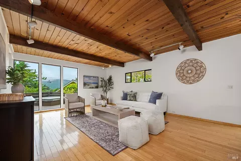 Living - 135 Peralta Ave, Mill Valley, CA 94941 photo 3 of 6