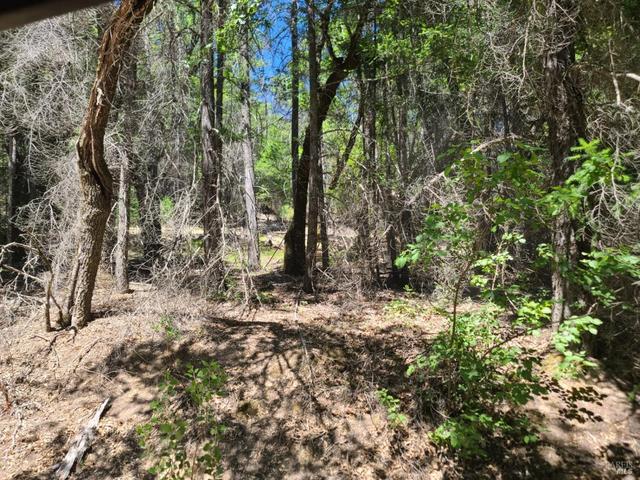0 0 Pigeon Ridge Rd, Covelo, CA 95428