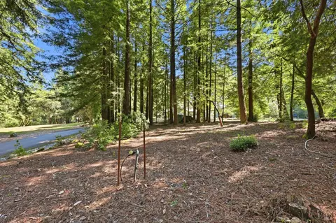 17375 Willow Creek Rd, Occidental, CA 95465 photo 80