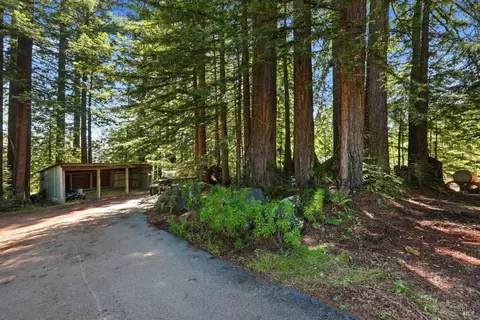 17375 Willow Creek Rd, Occidental, CA 95465 photo 72