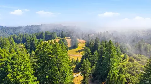 17375 Willow Creek Rd, Occidental, CA 95465 photo 93