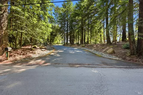 17375 Willow Creek Rd, Occidental, CA 95465 photo 3
