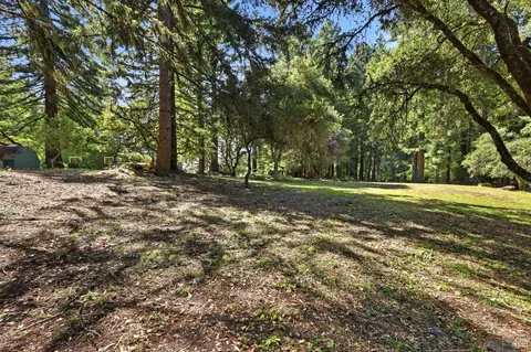 17375 Willow Creek Rd, Occidental, CA 95465 photo 7