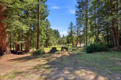 17375 Willow Creek Rd, Occidental, CA 95465 photo 79