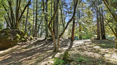 17375 Willow Creek Rd, Occidental, CA 95465 photo 82