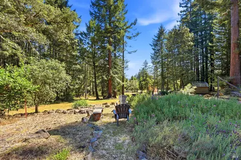 17375 Willow Creek Rd, Occidental, CA 95465 photo 61