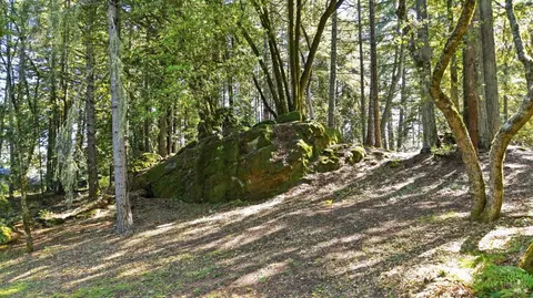 17375 Willow Creek Rd, Occidental, CA 95465 photo 81