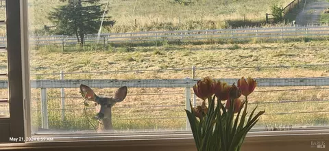 Other - 397 W Railroad Ave, Cotati, CA 94931 photo 21 of 25
