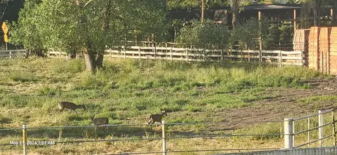 Other - 397 W Railroad Ave, Cotati, CA 94931 photo 23 of 25