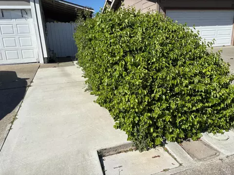Exterior - 2772 Toland Dr, Fairfield, CA 94534 photo 3 of 8