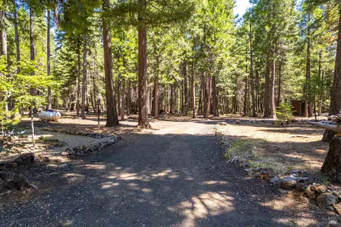 Exterior - 8308 Lost Mill Rd, Shingletown, CA 96088 photo 26 of 26
