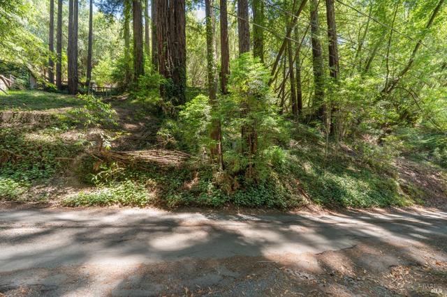 15192 Canyon 6 Rd, Guerneville, CA 95446