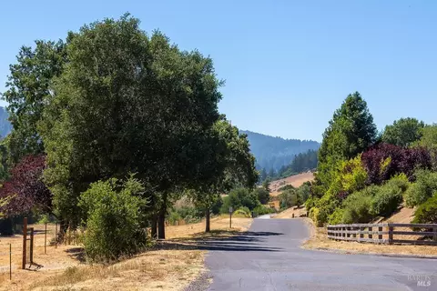 0 W Nicasio Rd, Nicasio, CA 94946 photo 23