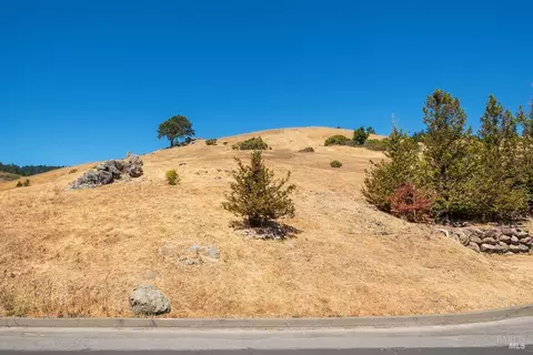 0 W Nicasio Rd, Nicasio, CA 94946 photo 15