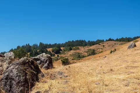 0 W Nicasio Rd, Nicasio, CA 94946 photo 18