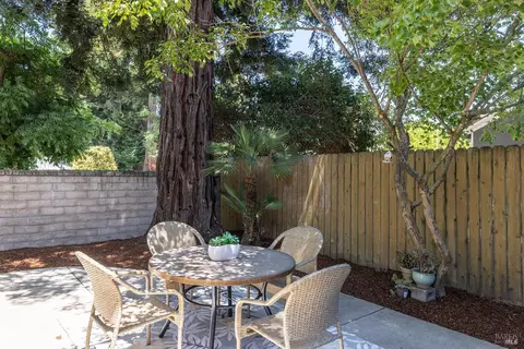 Exterior - 101 Miller Ct, Petaluma, CA 94954 photo 10 of 16