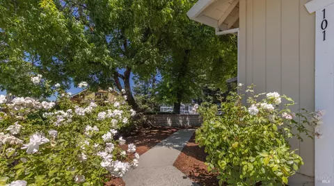 Exterior - 101 Miller Ct, Petaluma, CA 94954 photo 3 of 16