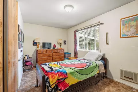 2947 Primrose Dr, Willits, CA 95490 photo 12