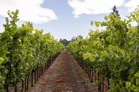 0 River Rd, Fulton, CA 95439 photo 9