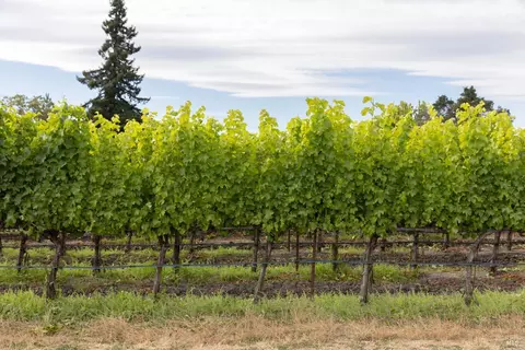 0 River Rd, Fulton, CA 95439 photo 11