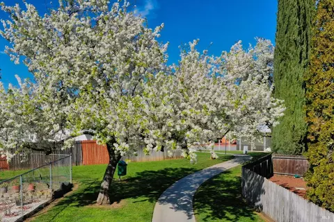 28 Valencia Dr, Fairfield, CA 94533 photo 38