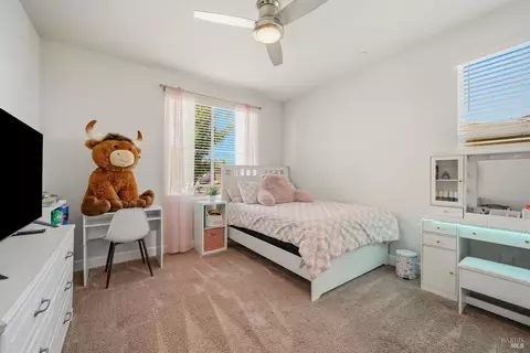 715 Farmgate Ct, Dixon, CA 95620 photo 32