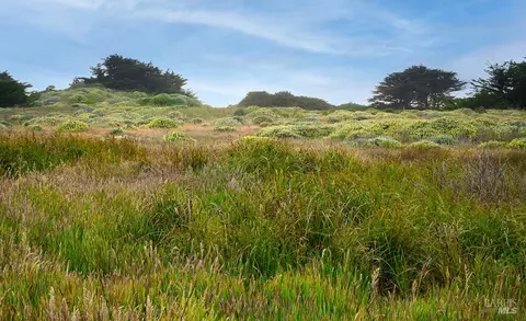 42080 Rock Cod, The Sea Ranch, CA 95497 photo 12