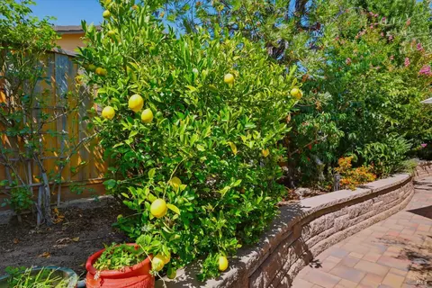 Exterior - 239 Saffron Ct, Napa, CA 94559 photo 9 of 11