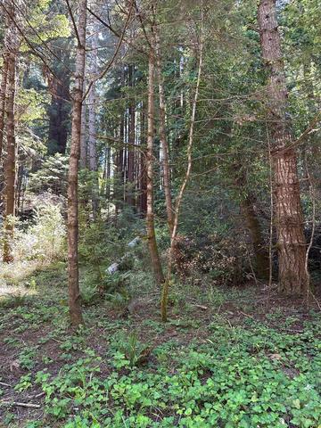 10181 Sorcerer Wood, The Sea Ranch, CA 95497