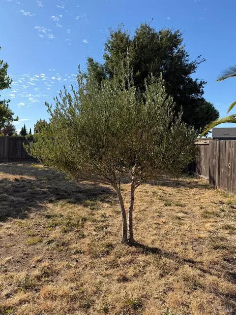 Exterior - 1500 Severus Dr, Vallejo, CA 94589 photo 4 of 6