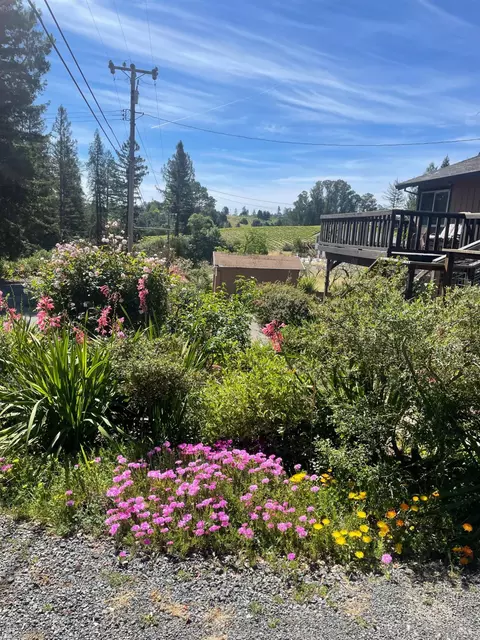 Exterior - 1982 Coffee Ln, Sebastopol, CA 95472 photo 2 of 13