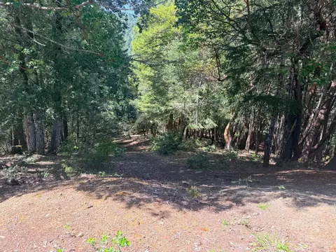 24193 Willow Ln, Willits, CA 95490 photo 1