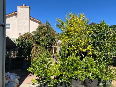 125 Iris Ct, Vallejo, CA 94591 photo 13
