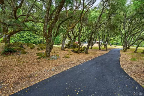 Other - 2585 Marra Rd, Occidental, CA 95465 photo 12 of 12