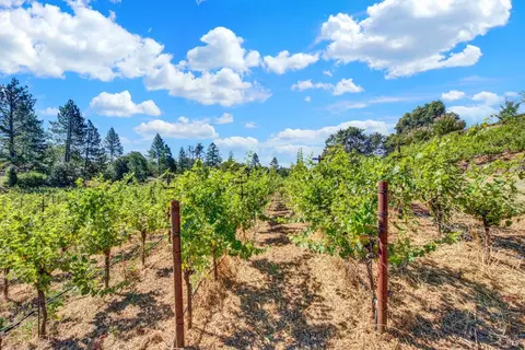 Other - 875 White Cottage Rd N, Angwin, CA 94508 photo 4 of 30