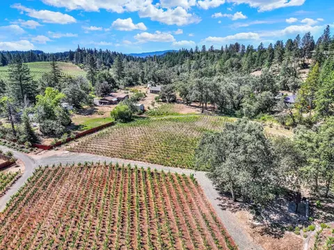 View/Area - 875 White Cottage Rd N, Angwin, CA 94508 photo 5 of 8