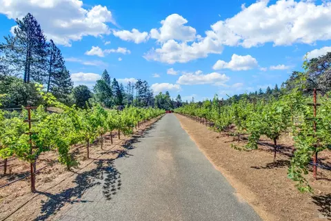 Other - 875 White Cottage Rd N, Angwin, CA 94508 photo 2 of 30