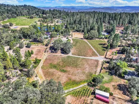 View/Area - 875 White Cottage Rd N, Angwin, CA 94508 photo 3 of 8