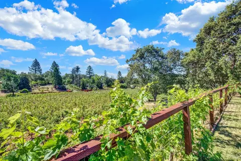 Other - 875 White Cottage Rd N, Angwin, CA 94508 photo 9 of 30