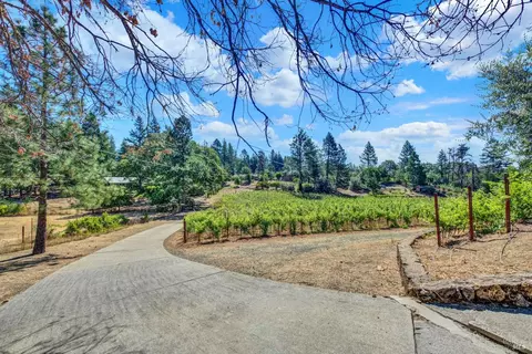 Other - 875 White Cottage Rd N, Angwin, CA 94508 photo 3 of 30