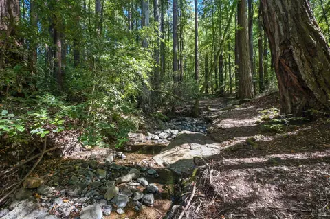 5 Meadow View Ln, San Geronimo, CA 94963 photo 25
