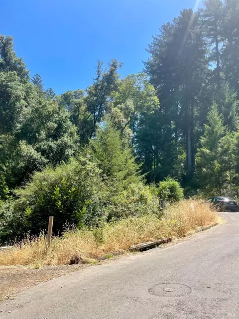 5 Meadow View Ln, San Geronimo, CA 94963 photo 11