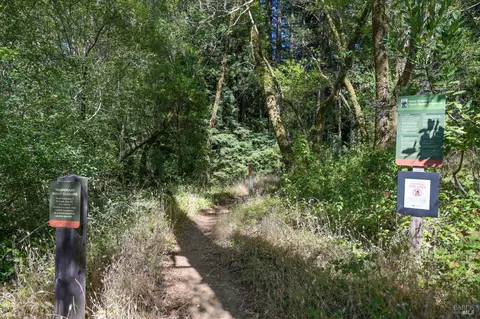 5 Meadow View Ln, San Geronimo, CA 94963 photo 23