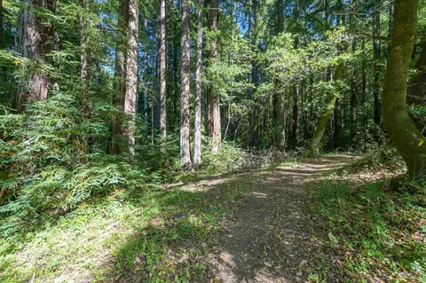 5 Meadow View Ln, San Geronimo, CA 94963 photo 24
