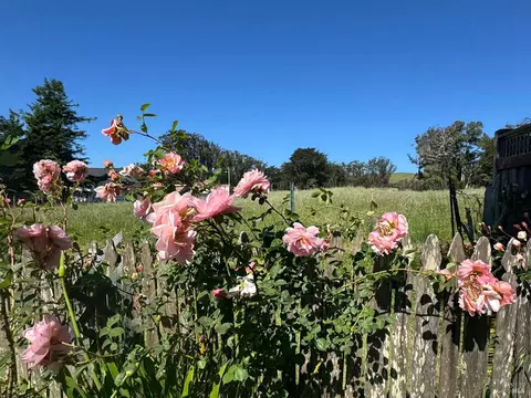 Exterior - 39 Carrie St, Tomales, CA 94971 photo 13 of 15
