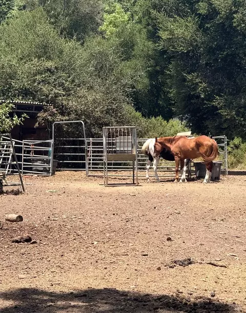 12847 Dunbar Rd, Glen Ellen, CA 95442