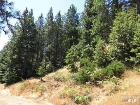 23480 Fort Ross Rd, Cazadero, CA 95421