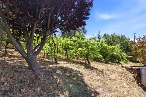 Exterior - 9160 Water Rd, Cotati, CA 94931 photo 14 of 20